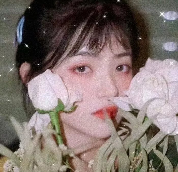 圣诞结